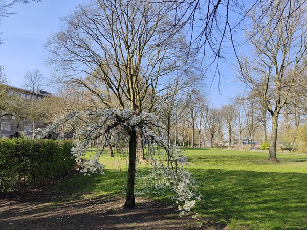 Medium property photo - Kerdijkstraat 18A, 3038 XE Rotterdam